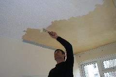 IMG_2586.JPG