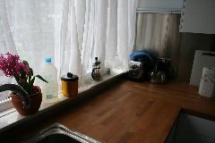 IMG_2602.JPG