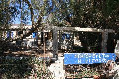 IMG_3432.JPG