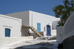 IMG_3516.JPG