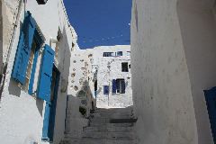 IMG_3522.JPG