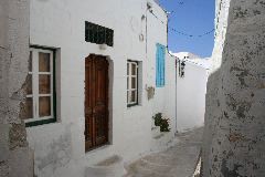 IMG_3524.JPG