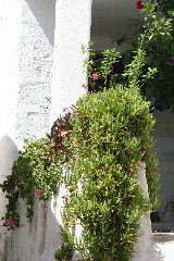 IMG_3541.JPG