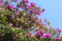 IMG_3542.JPG