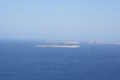 IMG_3555.JPG