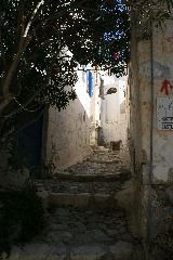 IMG_3576.JPG