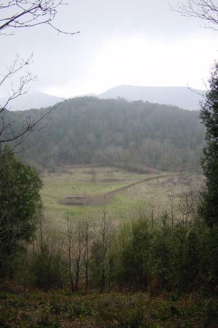 DSC00002.JPG