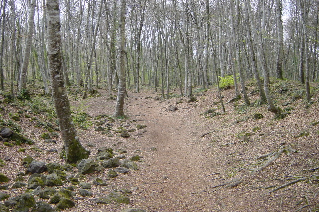 DSC00002.JPG