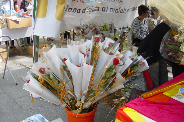 DSC00084.JPG