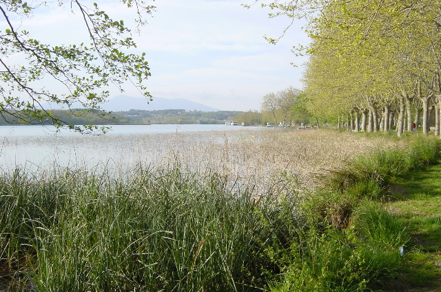 DSC00032.JPG