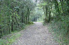 DSC00049.JPG