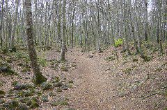 DSC00002.JPG
