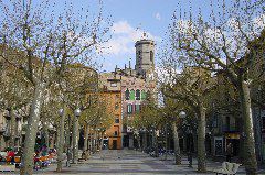DSC00097.JPG