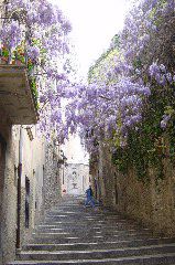 DSC00102.JPG