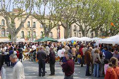 DSC00078.JPG