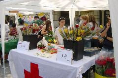 DSC00079.JPG