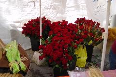 DSC00087.JPG