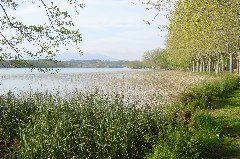 DSC00032.JPG