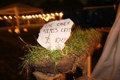 IMG_0645.JPG