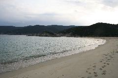 IMG_1905.JPG