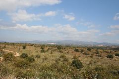 IMG_1927.JPG