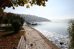 IMG_1937.JPG