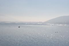 IMG_1959.JPG