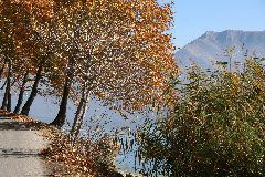 IMG_1986.JPG