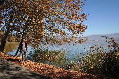 IMG_1990.JPG