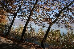 IMG_1992.JPG
