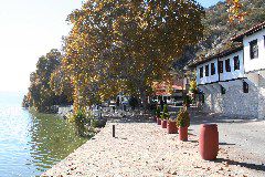 IMG_1995.JPG