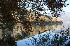 IMG_2001.JPG
