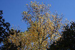 IMG_2002.JPG