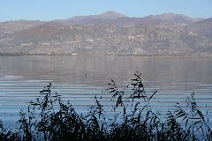 IMG_2005.JPG