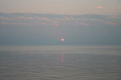 IMG_2032.JPG
