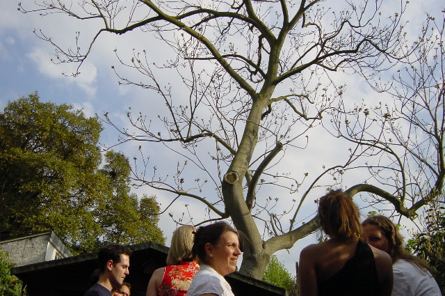 DSC00027.JPG