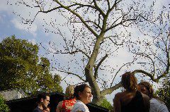 DSC00027.JPG