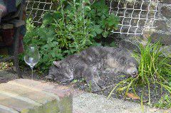 DSC00037.JPG