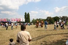 IMG_0767.JPG
