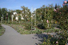 IMG_1728.JPG