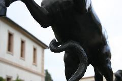 IMG_1605.JPG