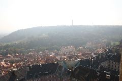 IMG_1741.JPG
