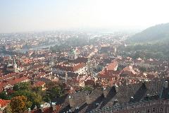 IMG_1743.JPG