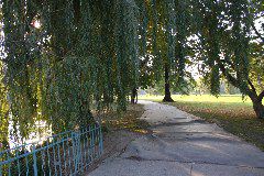 IMG_1770.JPG