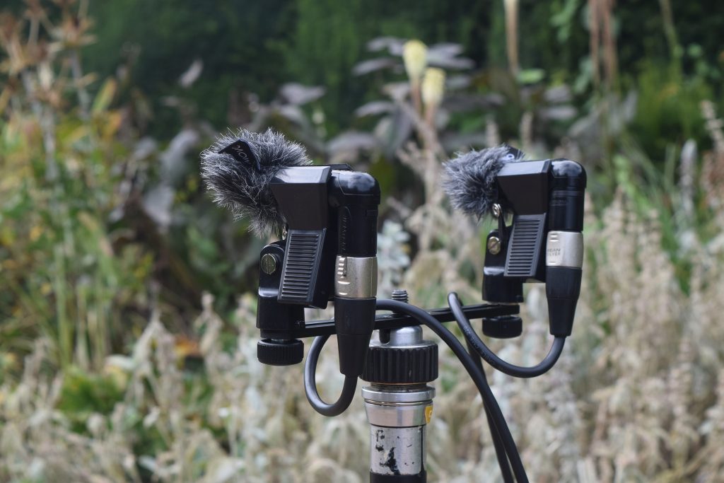 Two mic booster pluggy mics in a field, showing field recording in action.